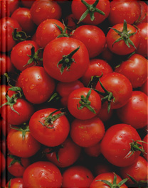 Formation maraichage