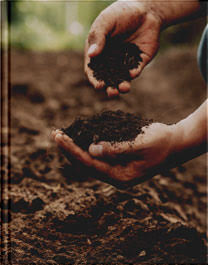 Formation toutes productions